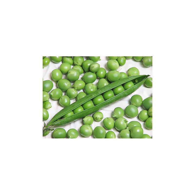 Fresh Peas 500g Fresh Peas 500g