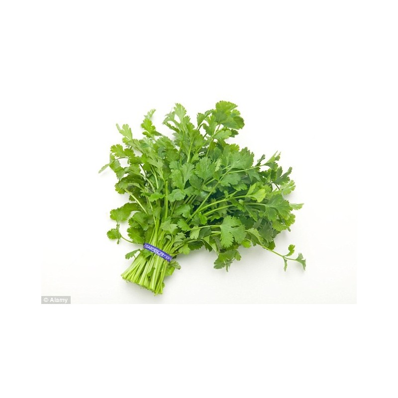Corriander vegetables 300g Corriander vegetables 300g