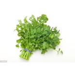 Corriander vegetables 300g