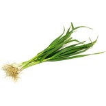 Fresh Green Garlic Chives 300G