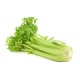  Fresh celery