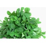 Fresh Fenugreek Leaves 300g