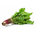 Fresh Dandelion 300G