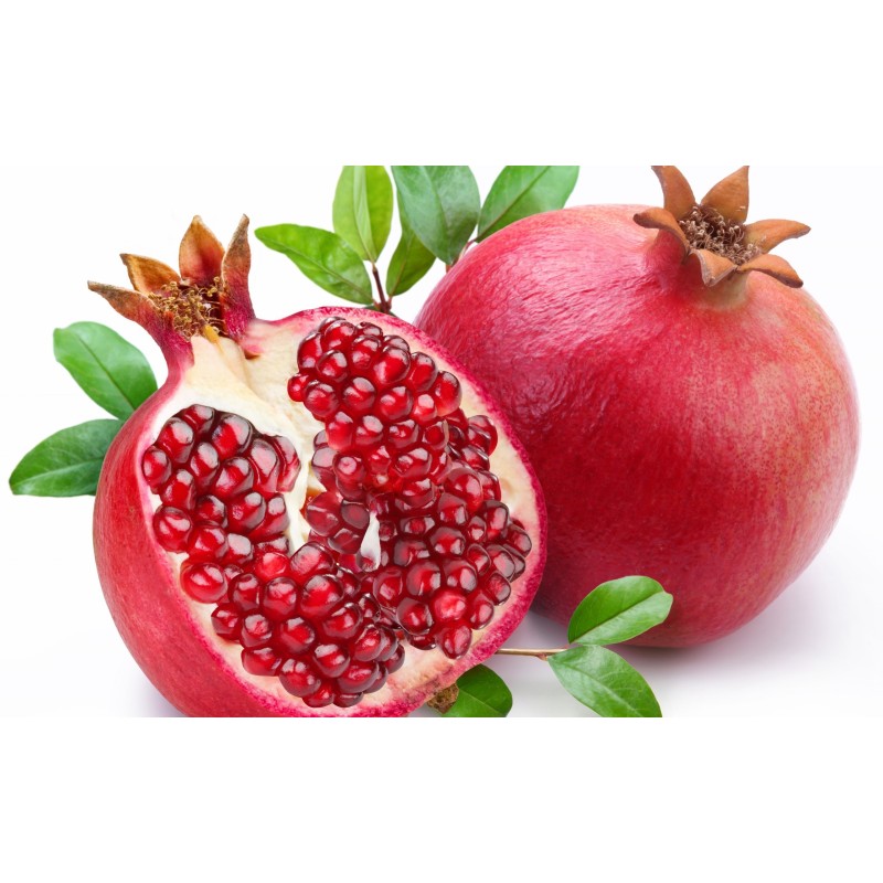 Pomegranate 1 Pomegranate 1
