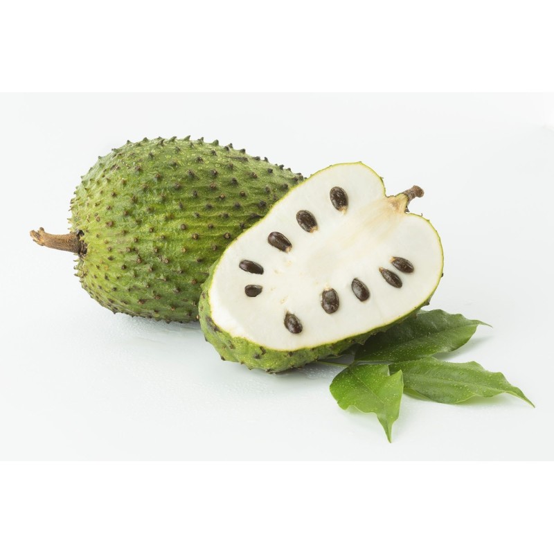 Soursop Soursop
