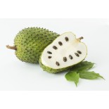 Soursop