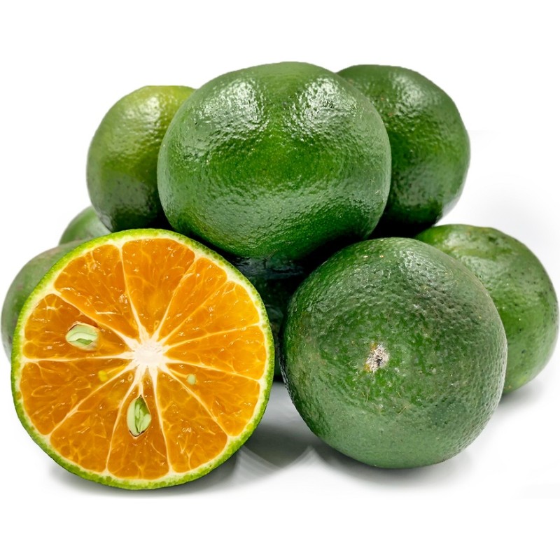 Local Green Oranges / kilo gram Local Green Oranges / kilo gram