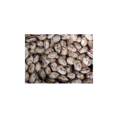 Weighed Dry Beans 1 Kg