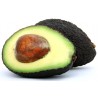 Buy fresh ovacado online we deliver to you in Uganda