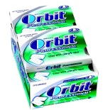 ORBITS PROFESSIONAL SPEARMINT 10pallets