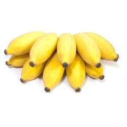 Buy Online Small Yellow Bananas in Uganda