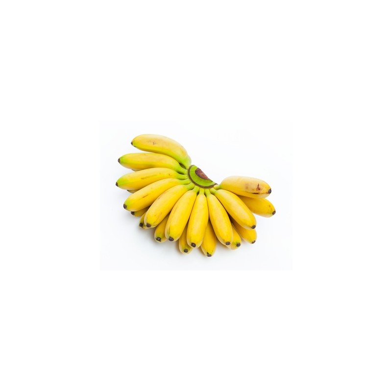 Buy Online Small Yellow Bananas in Uganda Buy Online Small Yellow Bananas in Uganda