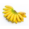 Buy Online Small Yellow Bananas in Uganda