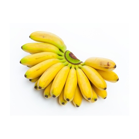 Small Yellow Bananas /Cluster