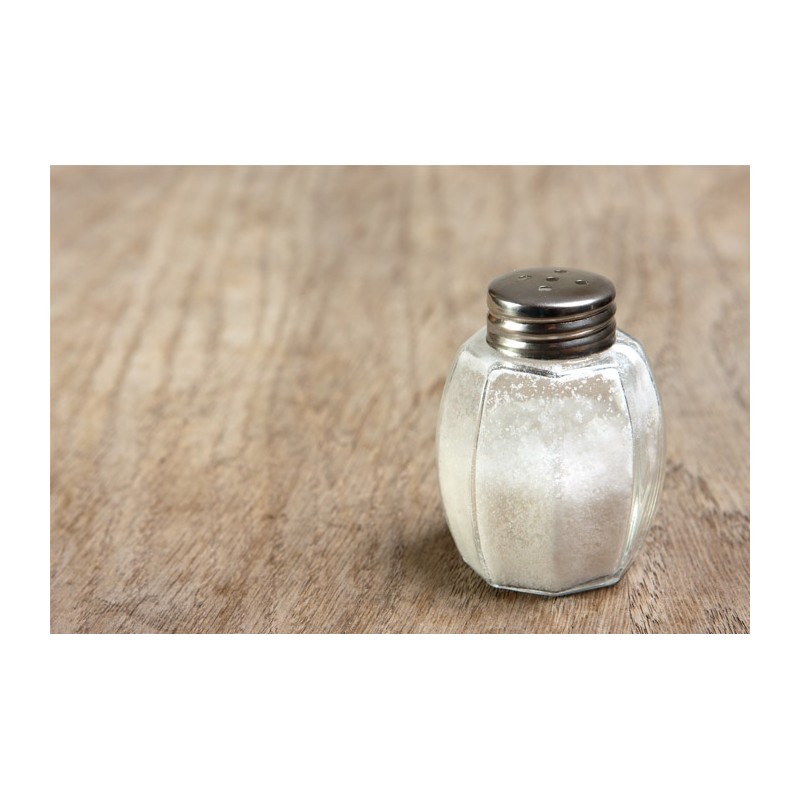 GAST REC SALT SHAKER GAST REC SALT SHAKER
