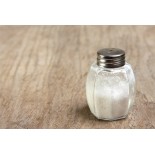 GAST REC SALT SHAKER 