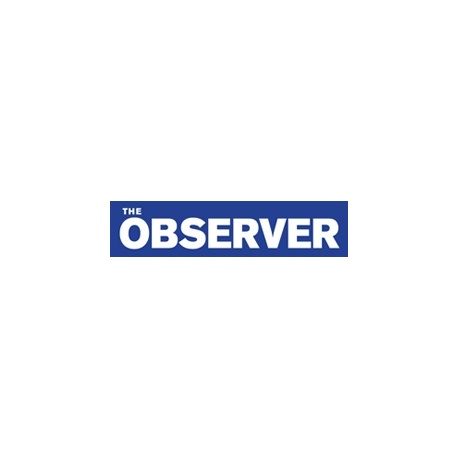 The Observer paper